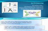 Sitokin dalam Sistem Imunitas