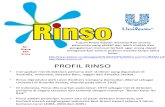 RINSO Final