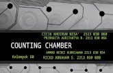 Counting Chamber