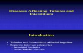3 Penyakit Tubulus Dan Interstitium_a