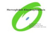 08 Hb Electrophoresis