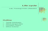 fisiologi-Life cycle.ppt