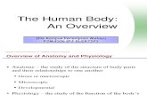 Minggu 1 Pengenalan_Overview Anatomy_System (E)