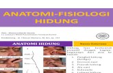 Anatomi Fisiologi Hidung Edit