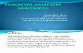 Slide Refarat Toksoplasmosis