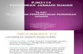 PJM3114 Sejarah Dan Perkembangan PJ