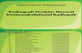 Radiografi Struktur Normal Dentomaksilofasial Radiopak