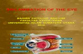 Patogenesis Radang Pada Organ Mata