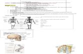 Anatomi Nota Ringkas EXAM