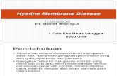 Hyaline Membrane Disease Putu