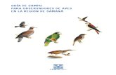 Guia de Aves de Sabana