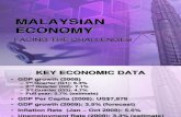 Malaysia Economic Challenges 2008