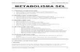Unit 3 Metabolisma Sel