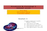 Anatomi & Fisiologi 1 -PRE-TEST