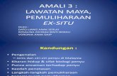 AMALI 3 - pemuliharaan