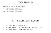 Telinga Theory Fk Uwks
