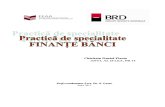Practica Finante Banci