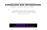 PJM 3106 Pemakanan Dan Metabolism