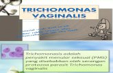 Tutorial 15 Ppt Trikomoniasis