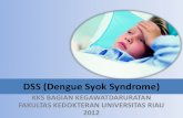 DSS (Dengue Syok Syndrome)