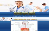 pengkajian Gastro Intestinal