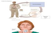 Gambar Sistem Endokrin