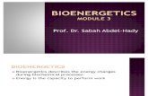 Bioenergetics Module 3. Sabah
