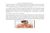 Bab 13-Sistem Pernafasan