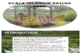 Natural Park Kuala Slangor final touch
