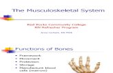 2010 Spr Musculoskeletal System Ppt.