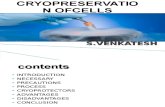 Cryo preservation