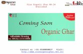 Rise Organic Ghar Budget Property Ghaziabad