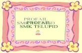 SMK Telupid