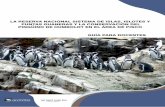El pingüino de Humboldt en la RNSIIPG Sector Pisco. Guía para ...