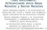Tidal enviroments: diferenciando entre barras mareales y dunas mareales_Olariu, 2012