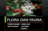 BAB 1 Flora dan Fauna (Geografi kelas XI)