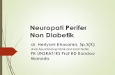 Neuropati perifer non diabetik