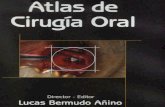 Atlas de cirugia oral   bermudo