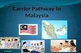 Carrier pathway in malaysia