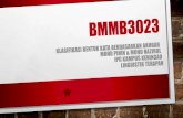 BMM3023 Klasifikasi Bentuk Kata Berdasarkan Akhbar