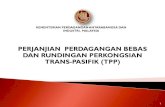 TPP Open Day