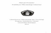 01300 05154-MP Pelaksanaan Praktikum Mikrobiologi.pdf