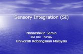 Sensory Integration (SI)