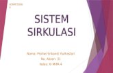 Sistem Sirkulasi (kelas XI MIPA Kurikulum 2013)