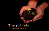 The soil color