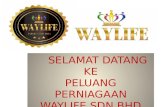 Waylife Malaysia Compensation Plan 2015 & 2016