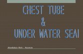CHEST TUBE  &  UNDER WATER SEAL