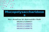 Mucopolysaccharidoses mel biochem