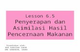 Lesson 6.5