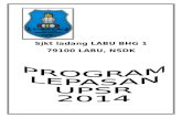 Program lepasan upsr 2014 new
